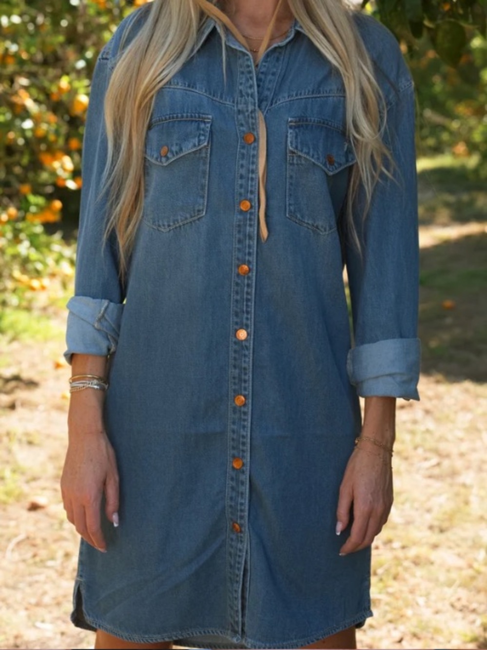 Carly Jean Los Angeles Josie Denim Dress